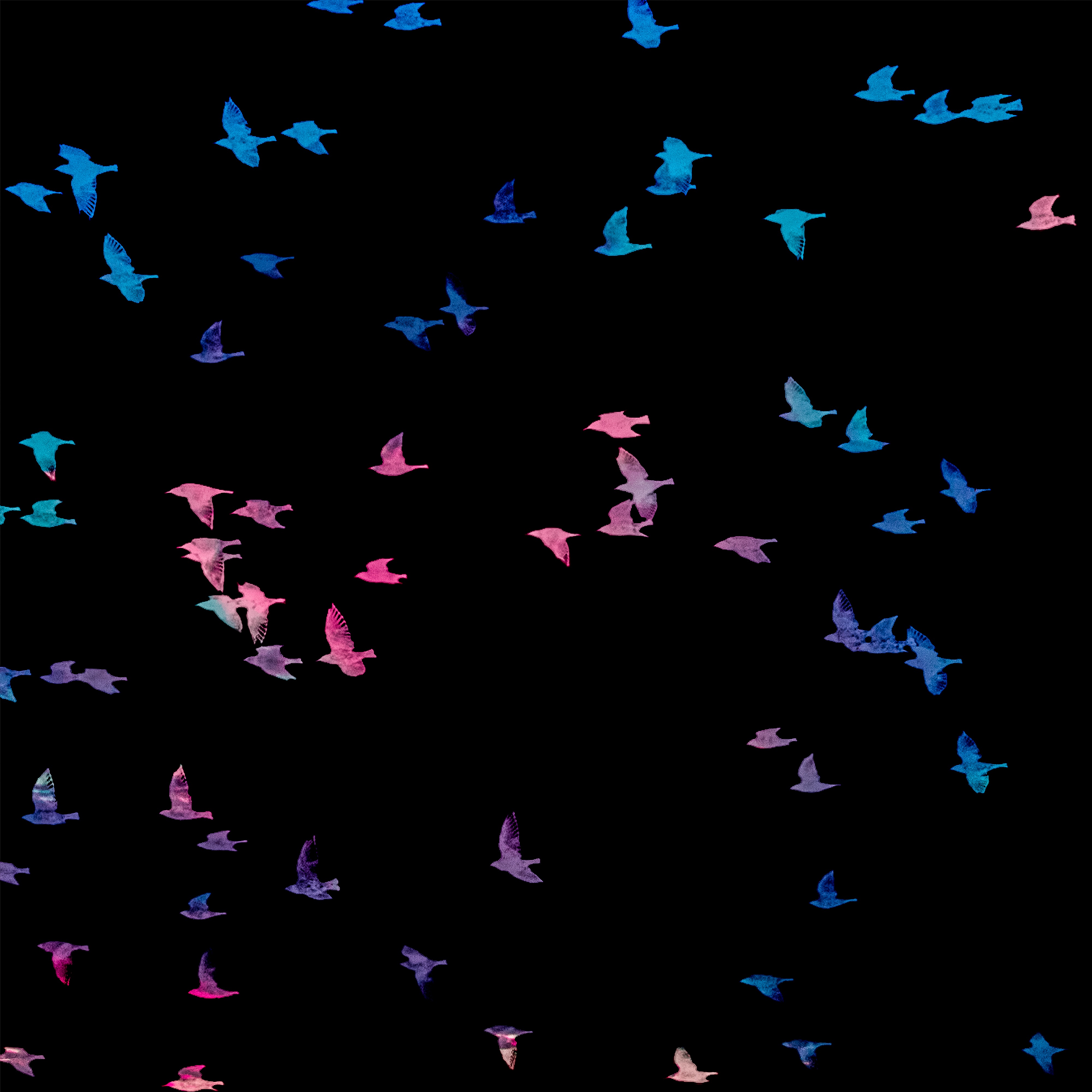 When the Birds Start Singing - Single album cover