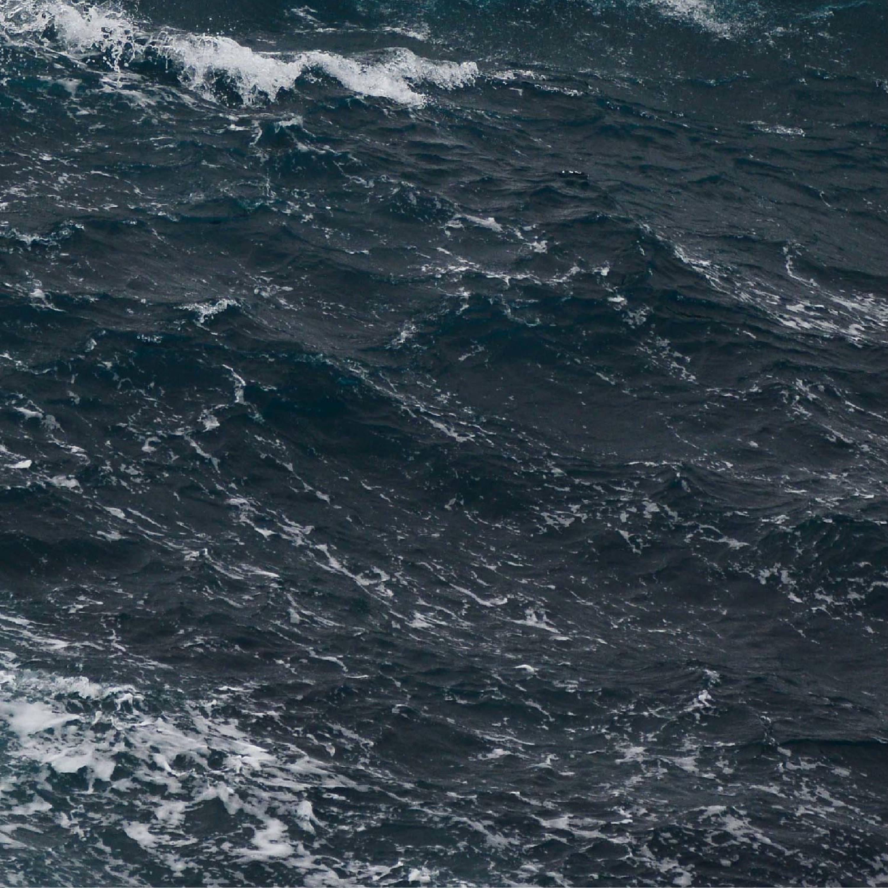 French Police album cover