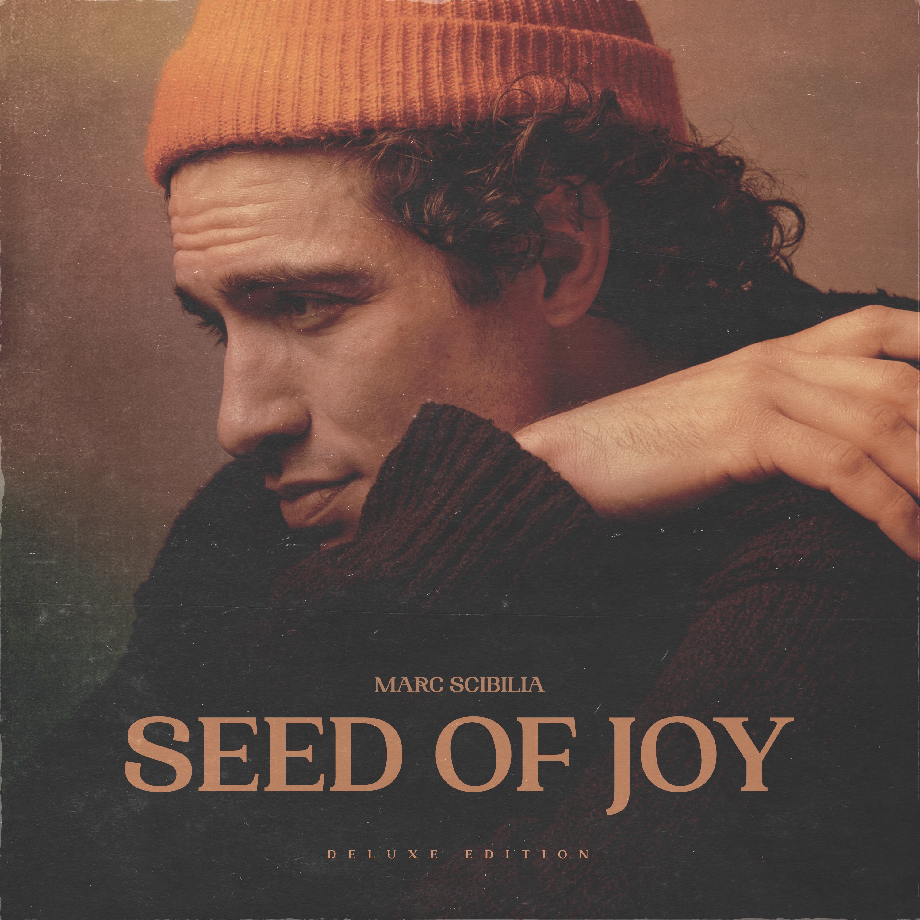 Seed of Joy (Deluxe Edition) album cover