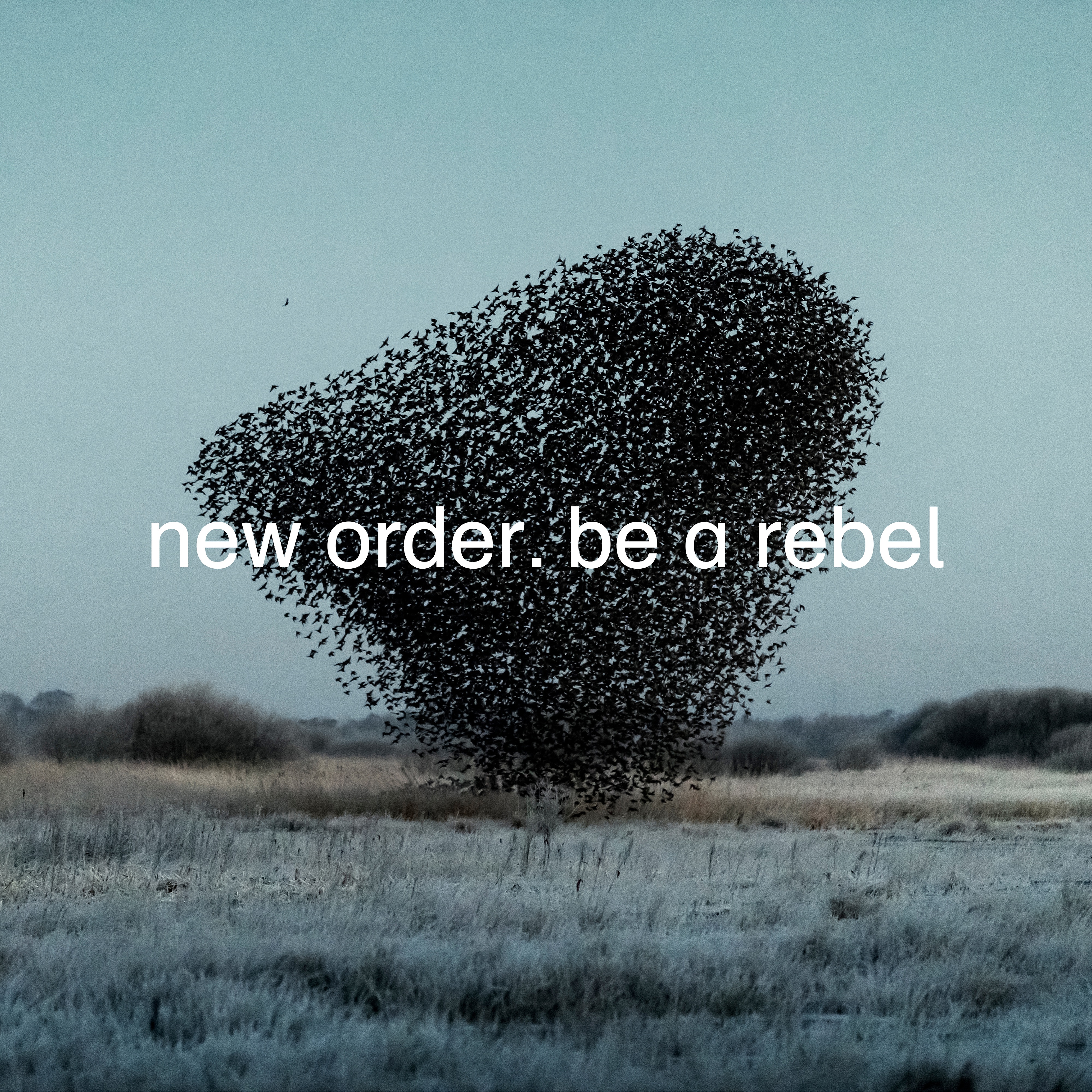Be a Rebel - Single album cover
