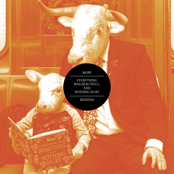 Everything Was Beautiful, and Nothing Hurt (Remixes) album cover