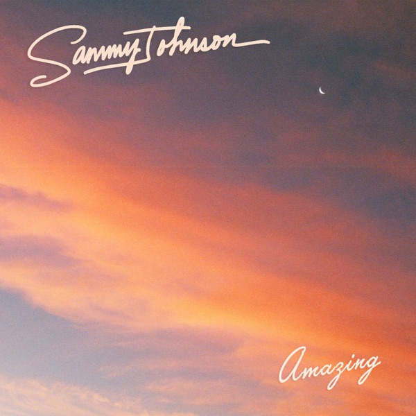 Amazing - Single album cover