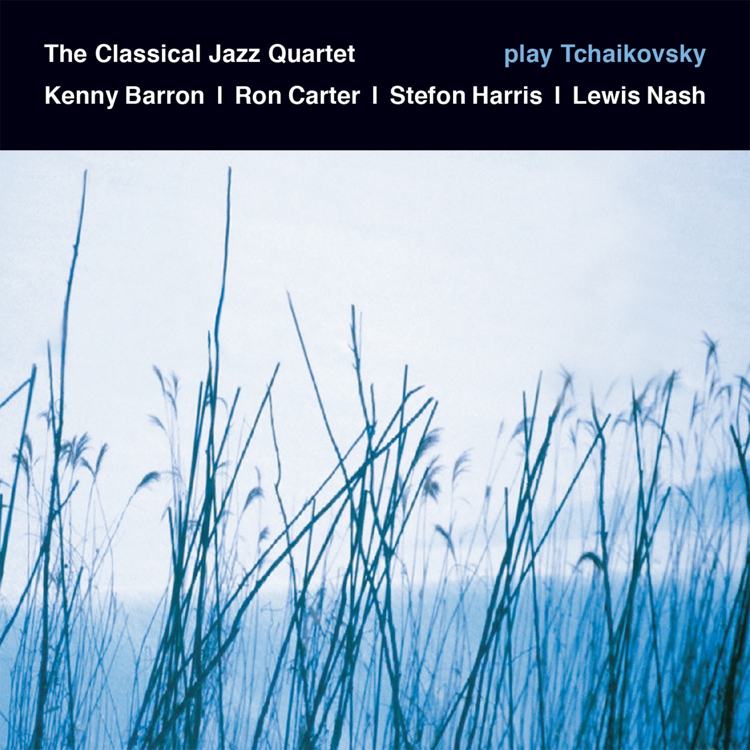 Play Tchaikovsky (feat. Kenny Barron, Ron Carter, Stefon Harris & Lewis Nash) album cover
