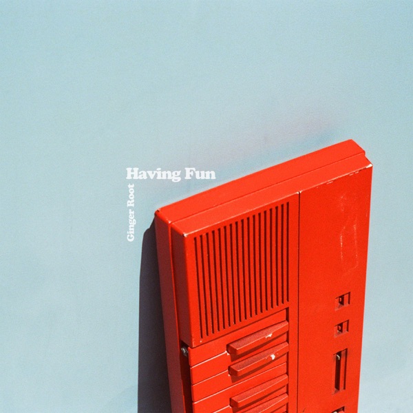 Having Fun - Single album cover