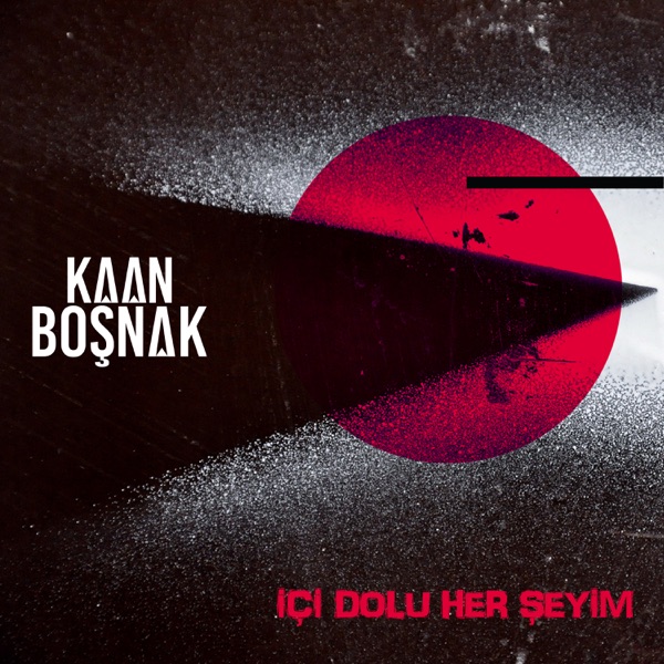İçi Dolu Her Şeyim - Single album cover