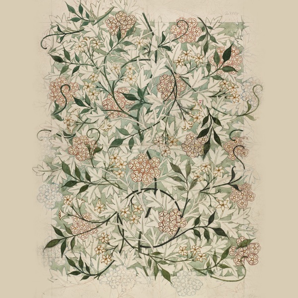 Springhill album cover