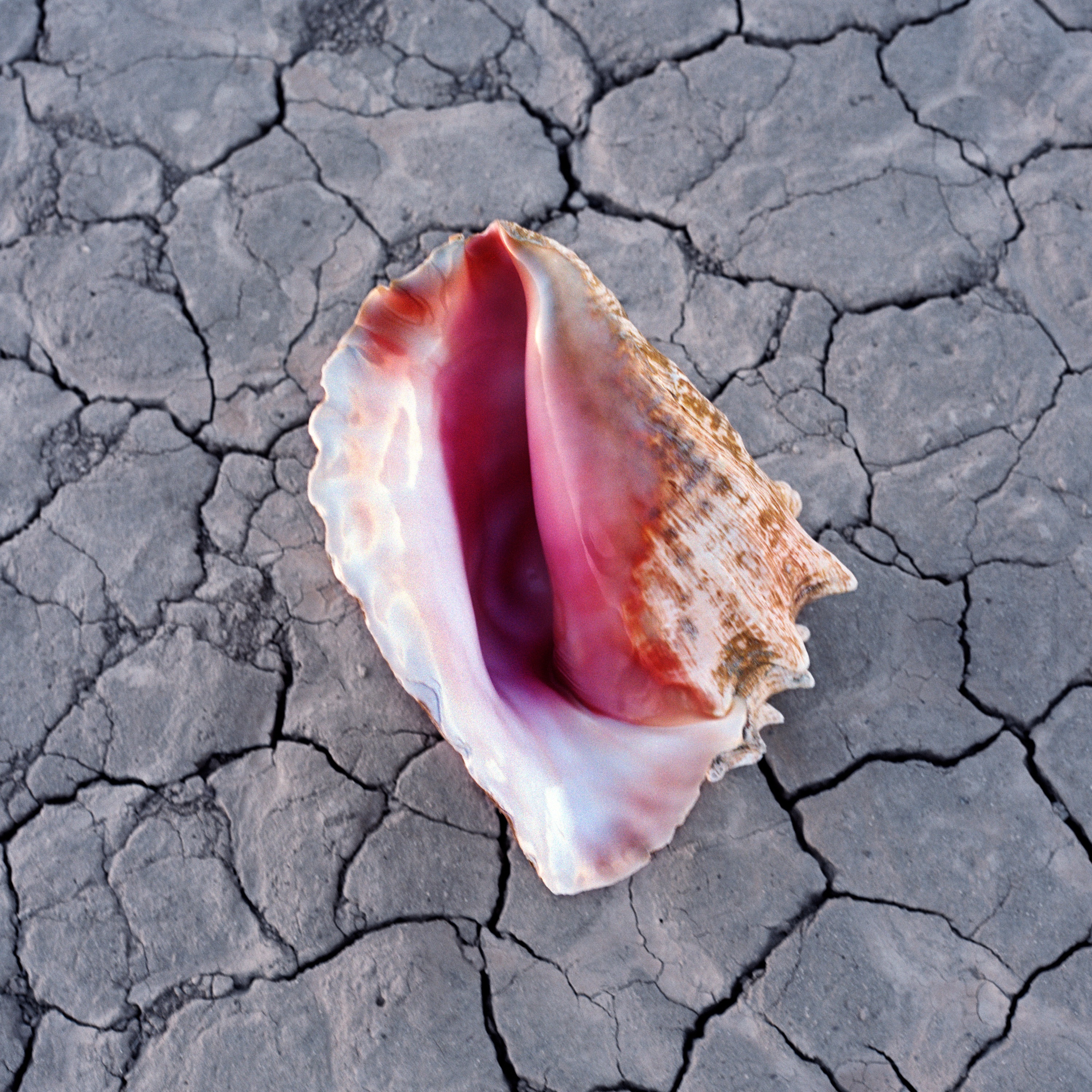 Wonderful Wonderful (Deluxe) album cover