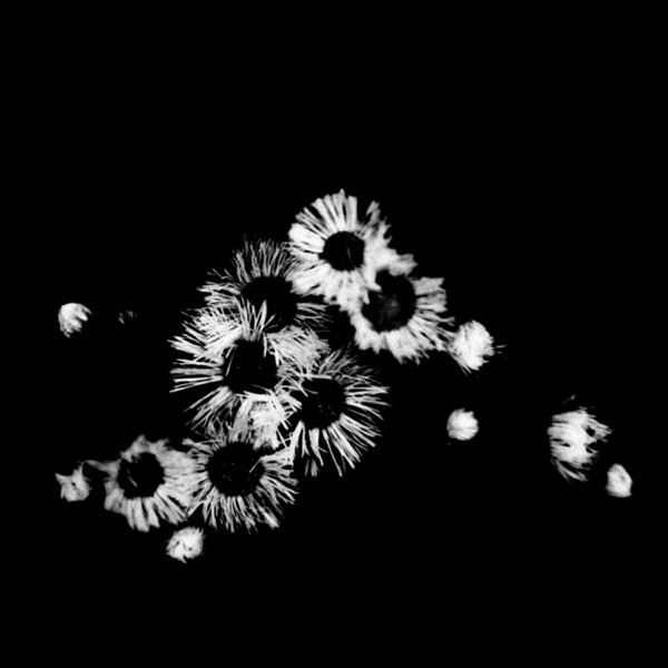 Crash of Conformity (feat. harmony haven) - Single album cover