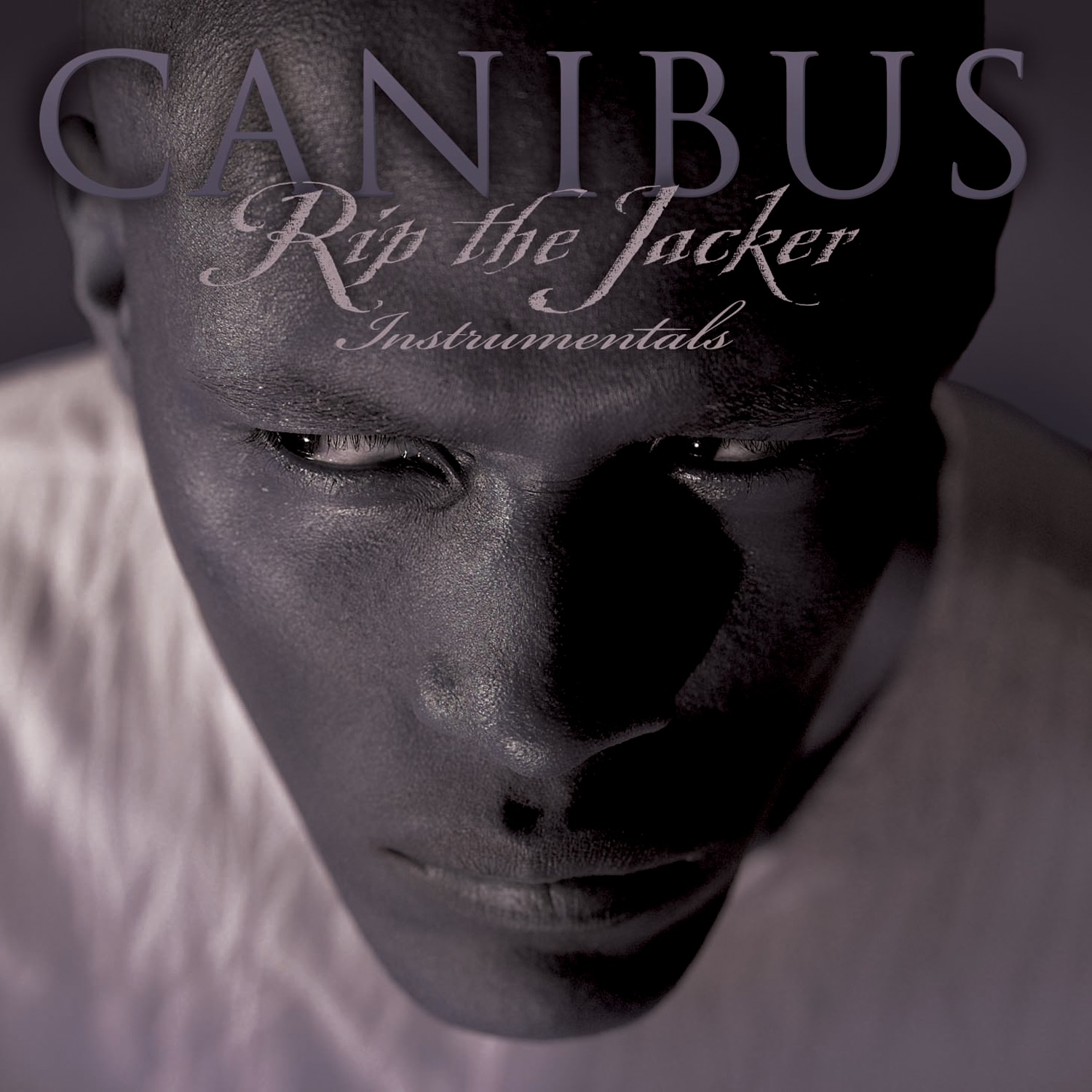 Rip The Jacker Instrumentals album cover