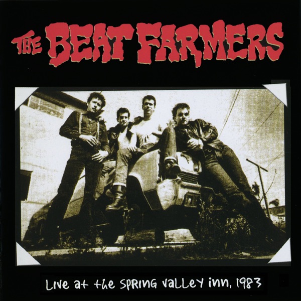 Live at Spring Valley Inn, 1983 (Live Remastered) album cover