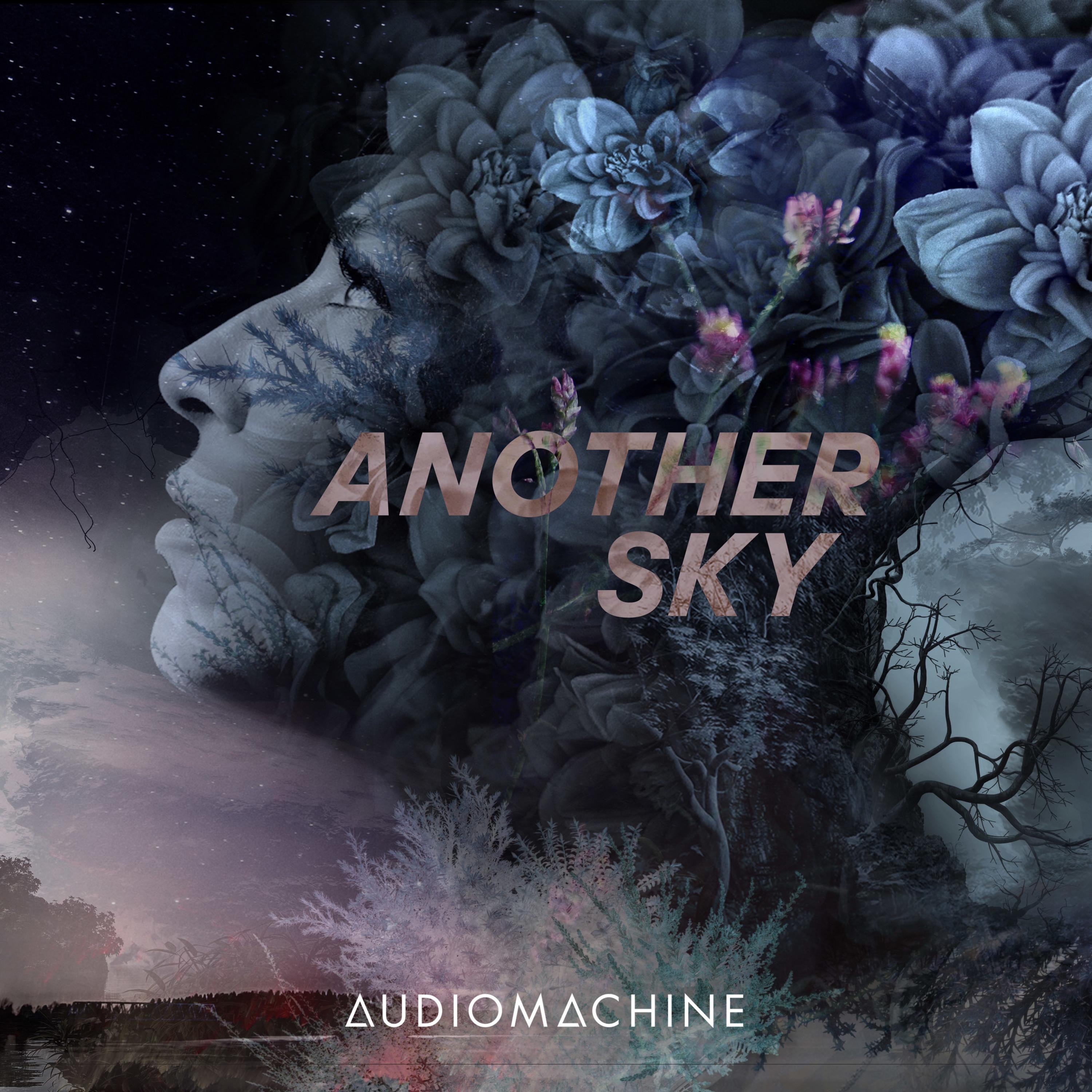 Another Sky album cover