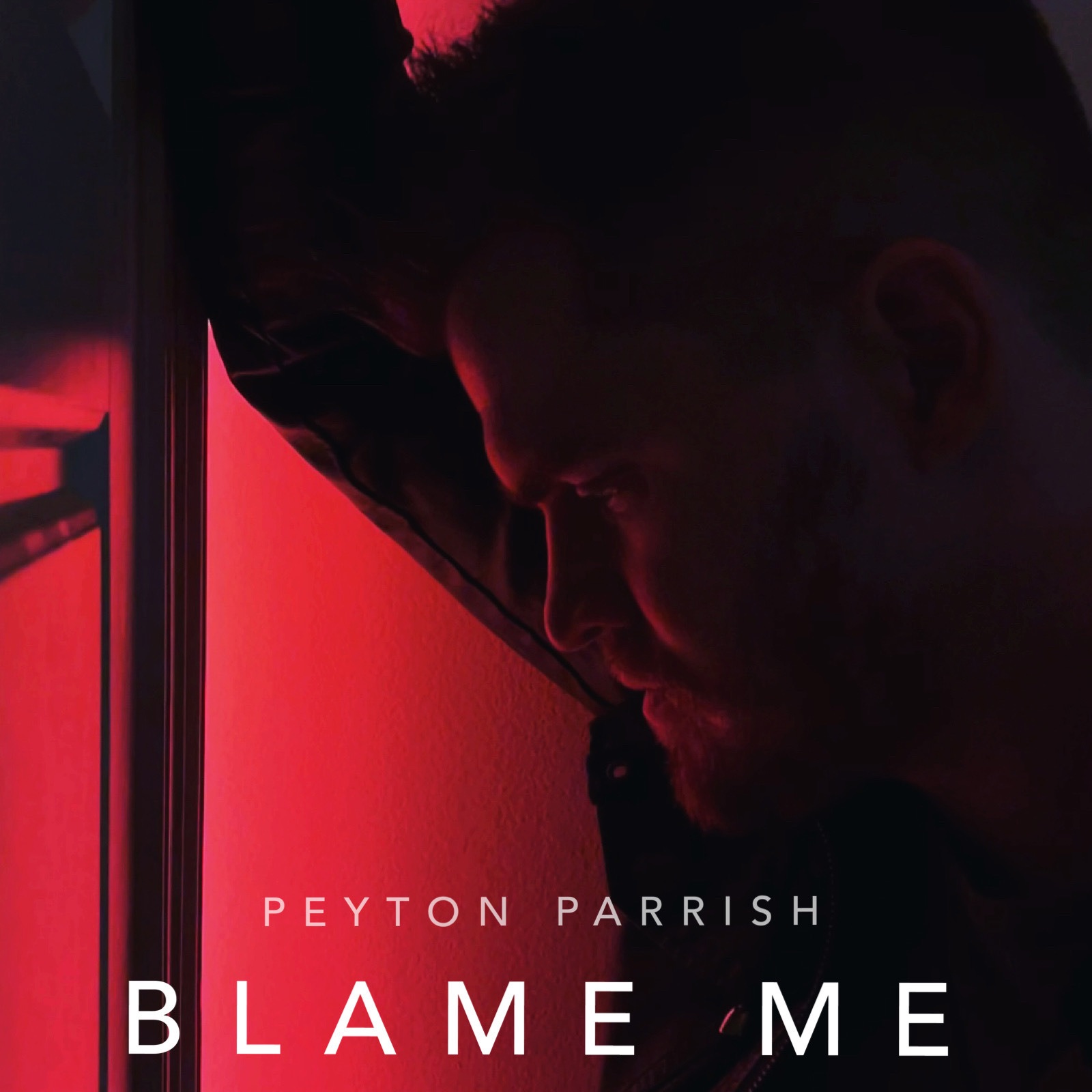 Blame Me - Single album cover