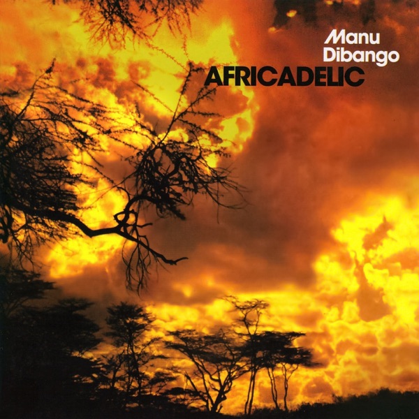 Africadelic album cover