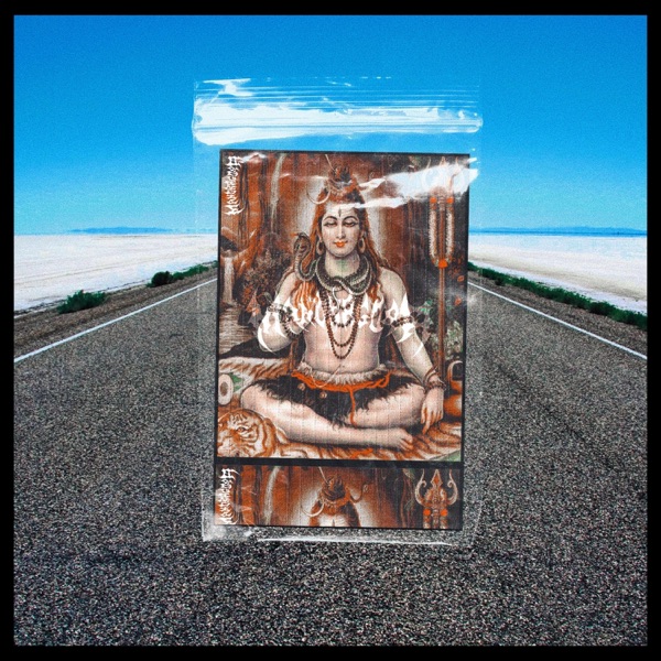 Shiva's House - Single album cover