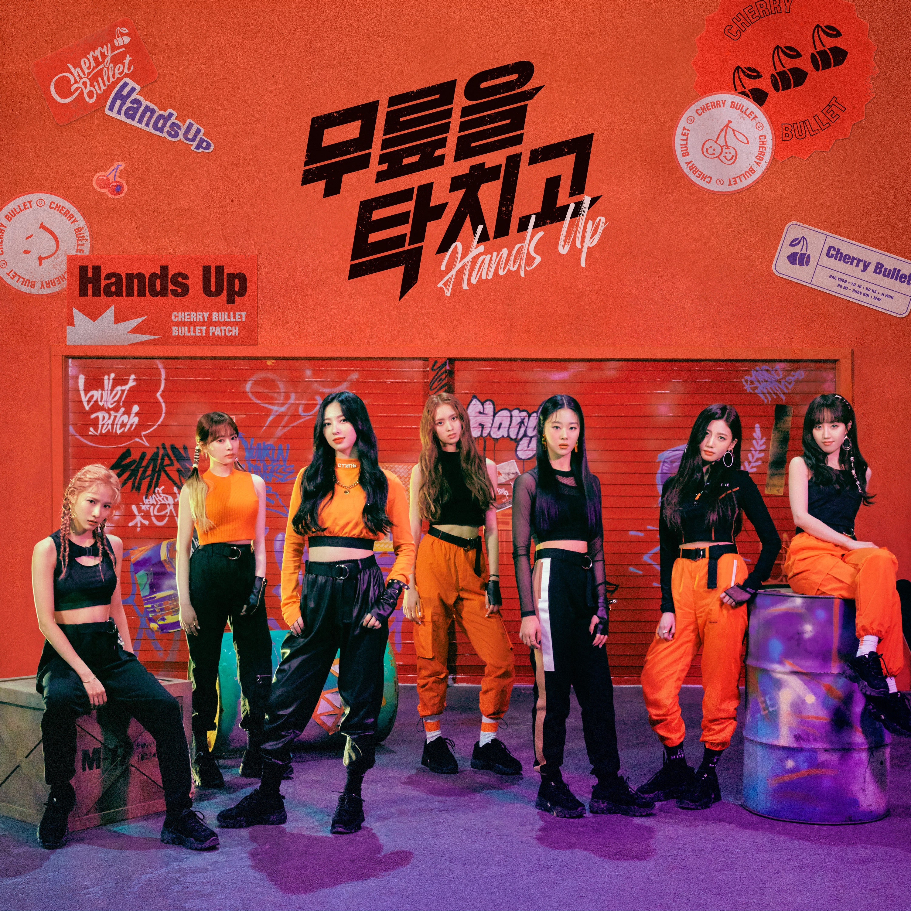 Hands Up - Single album cover