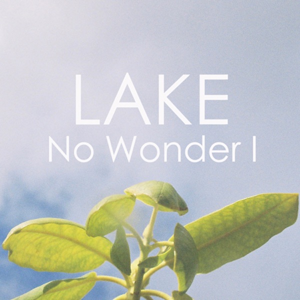 No Wonder I - Single album cover