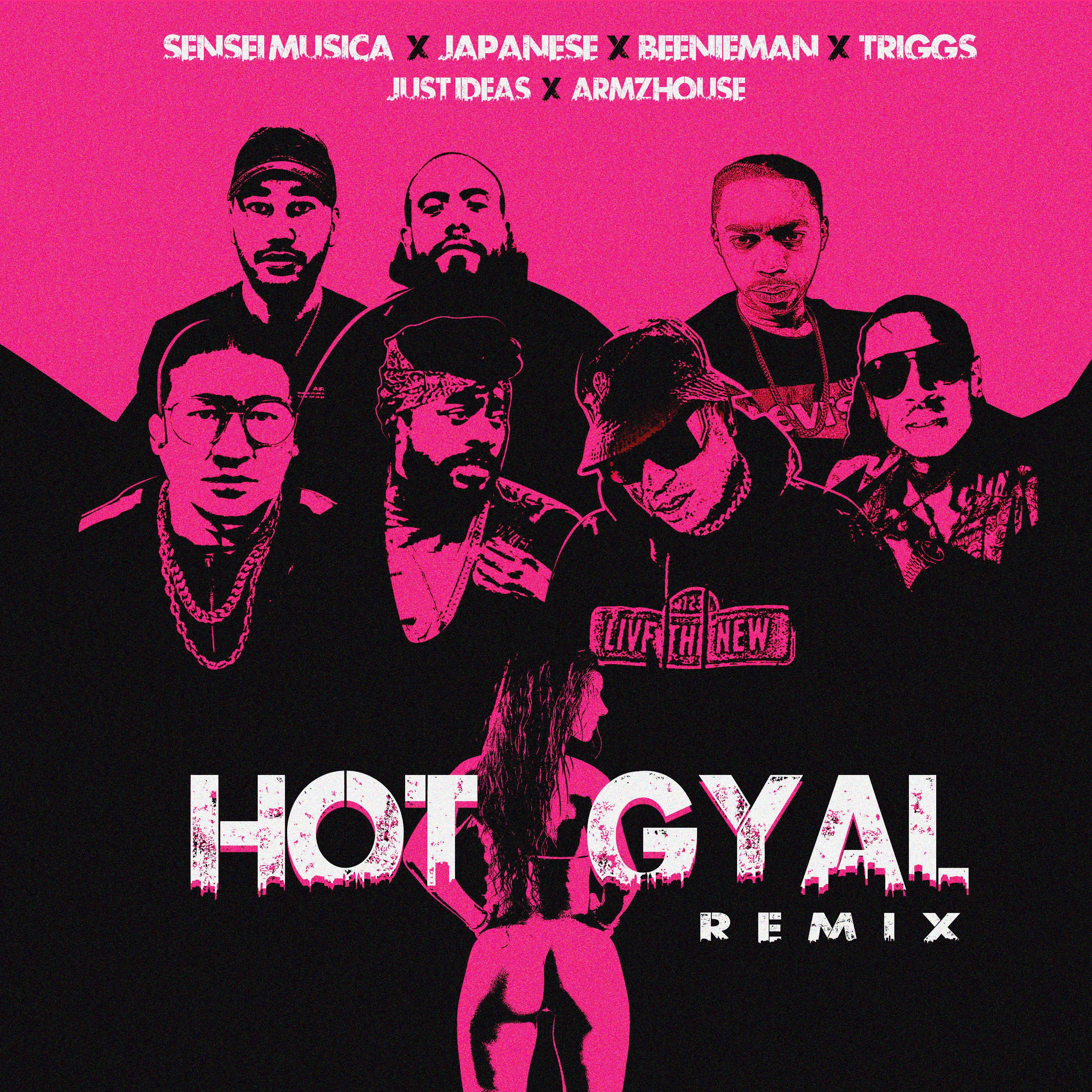 Hot Gyal (feat. Triggs, Armzhouse & Just Ideas) [Remix] - Single album cover