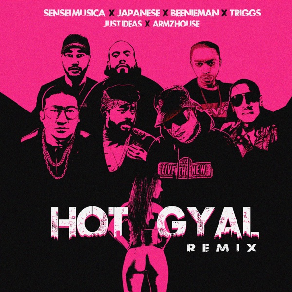 Hot Gyal (feat. Triggs, Armzhouse & Just Ideas) [Remix] - Single album cover