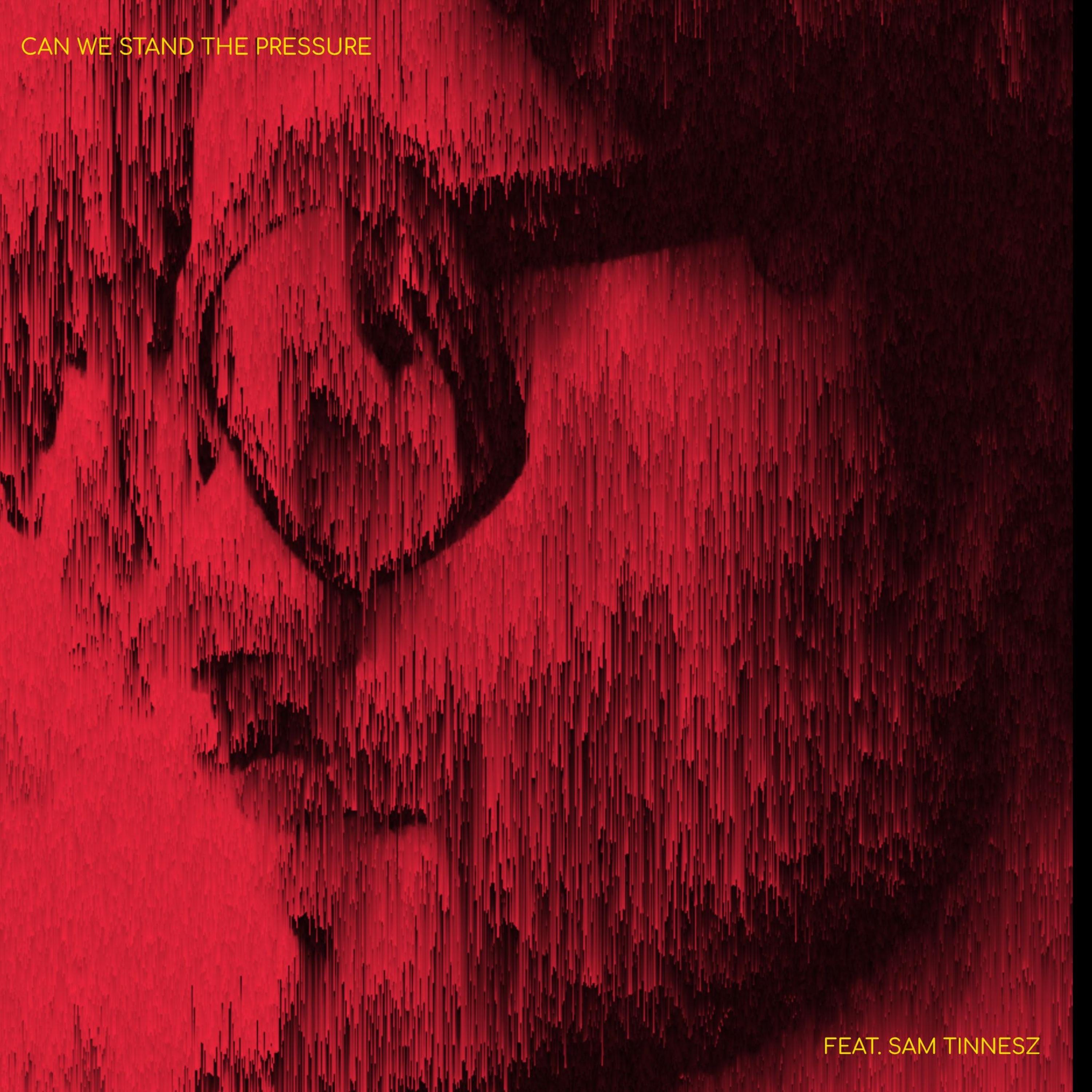 Can We Stand the Pressure (feat. Sam Tinnesz) - Single album cover
