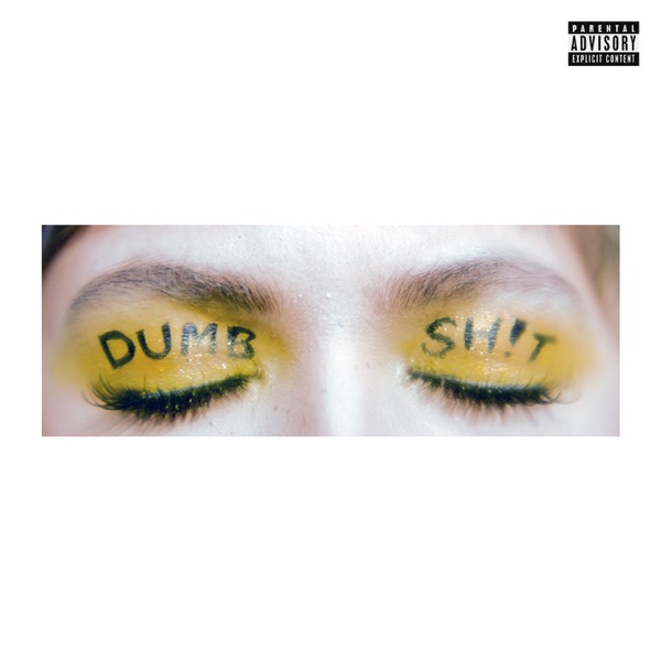 DUMB SH!T (REMIXES) - Single album cover
