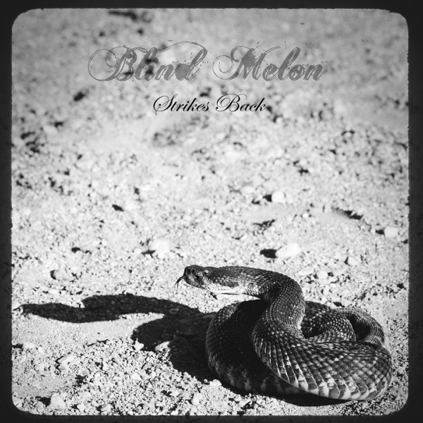 Strikes Back - Single album cover