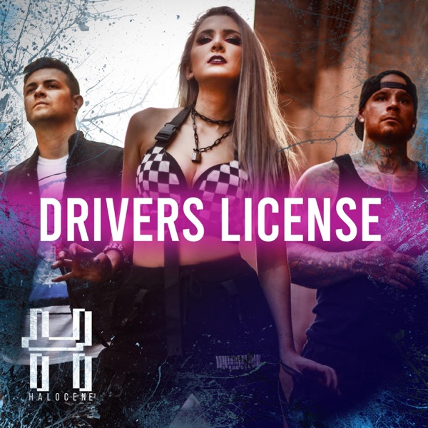 Drivers License - Single album cover