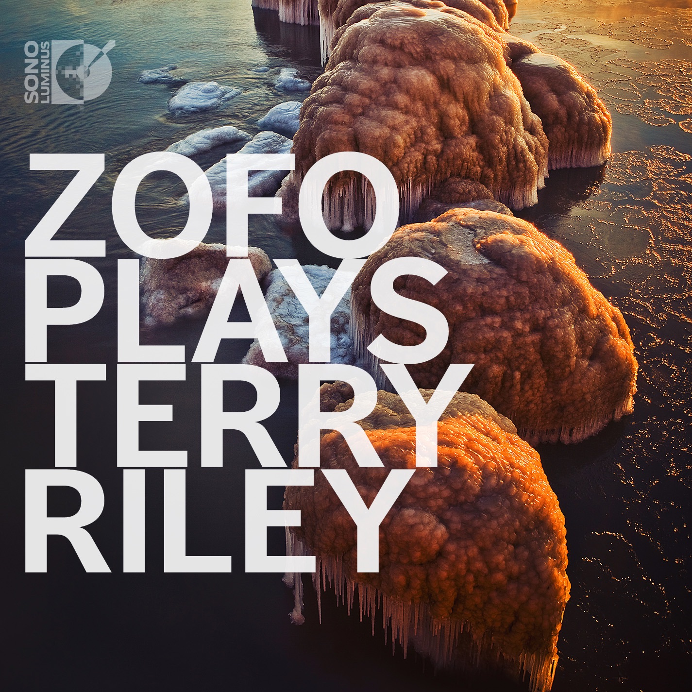ZOFO Plays Terry Riley album cover