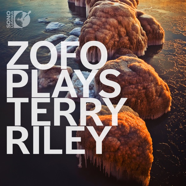 ZOFO Plays Terry Riley album cover