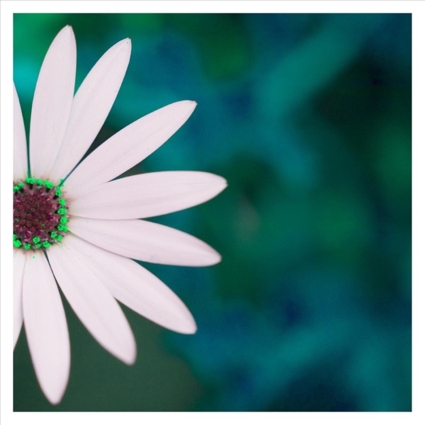 Painting Light - Single album cover