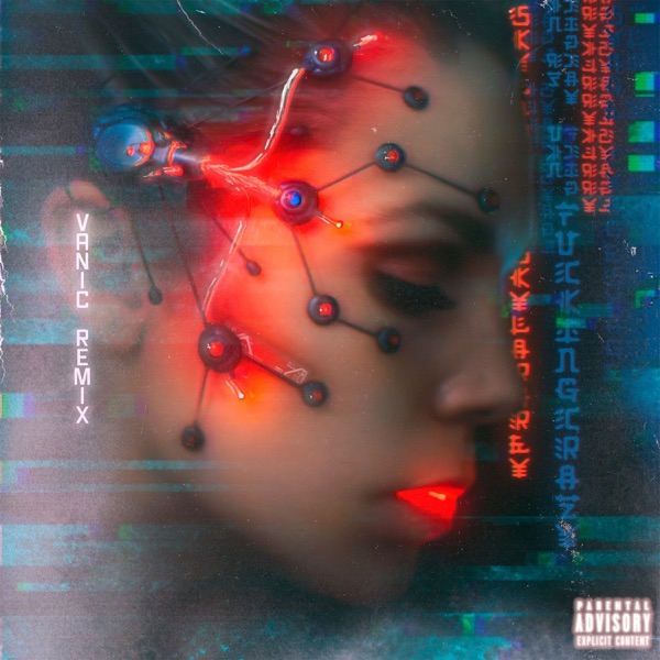 F*****g Crazy (Remix) - Single album cover