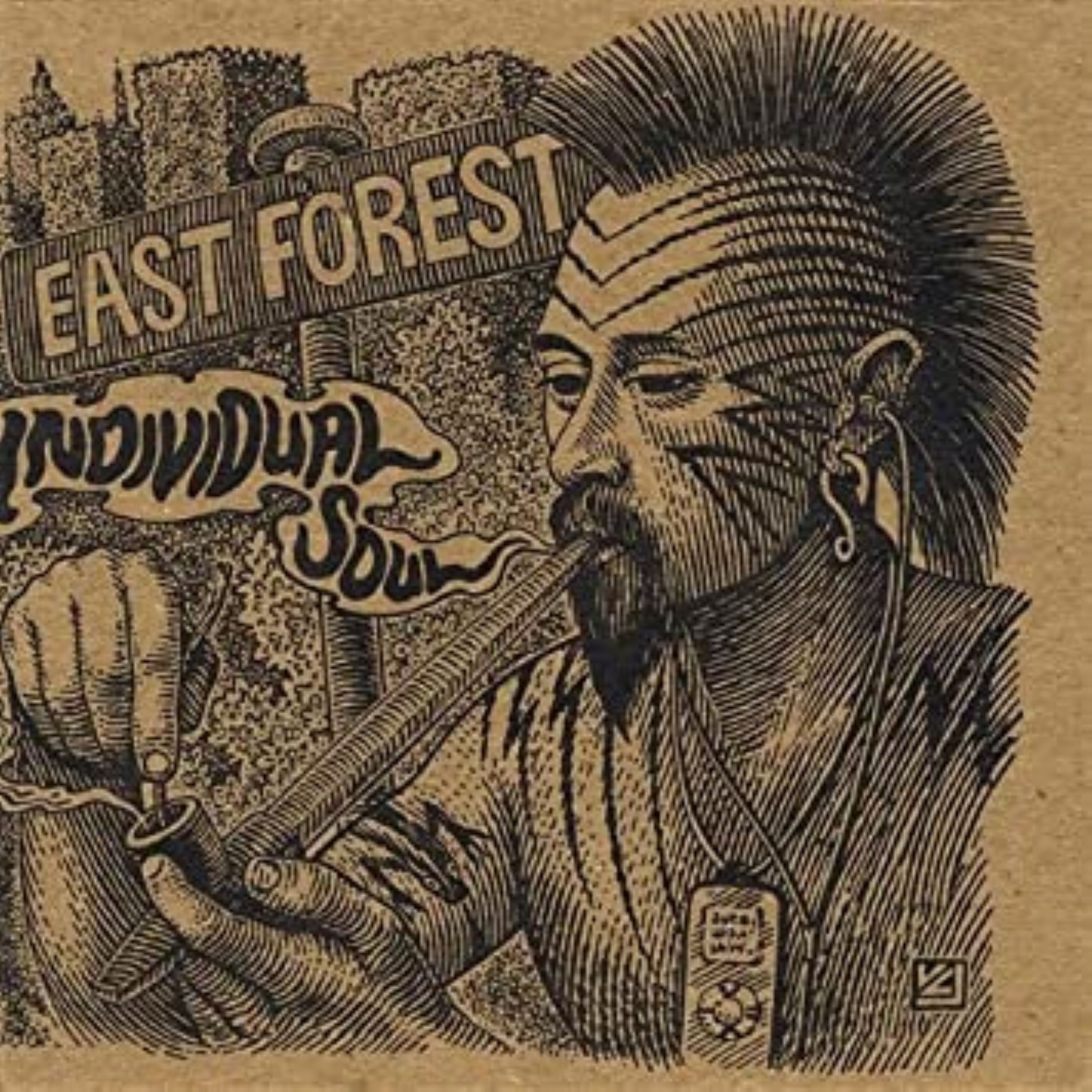 The Education of the Individual Soul album cover