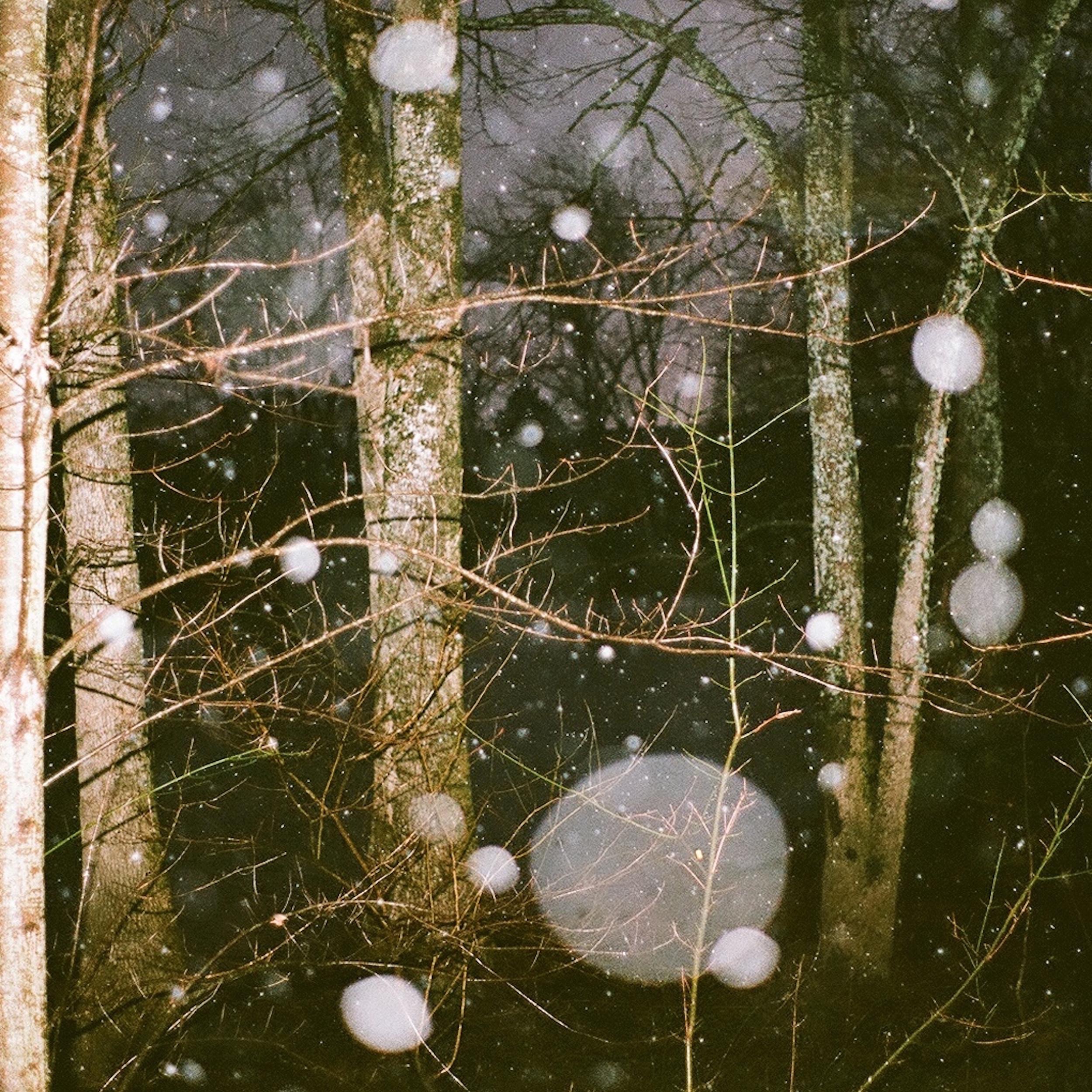 After The Warmth album cover