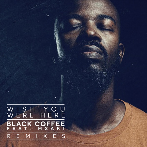 Wish You Were Here (feat. Msaki) [Remixes] album cover
