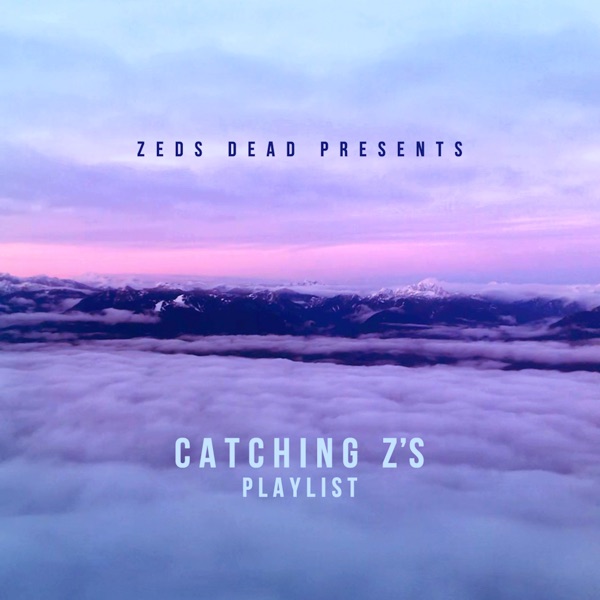 Catching Z's, Vol. 3 (DJ Mix) album cover