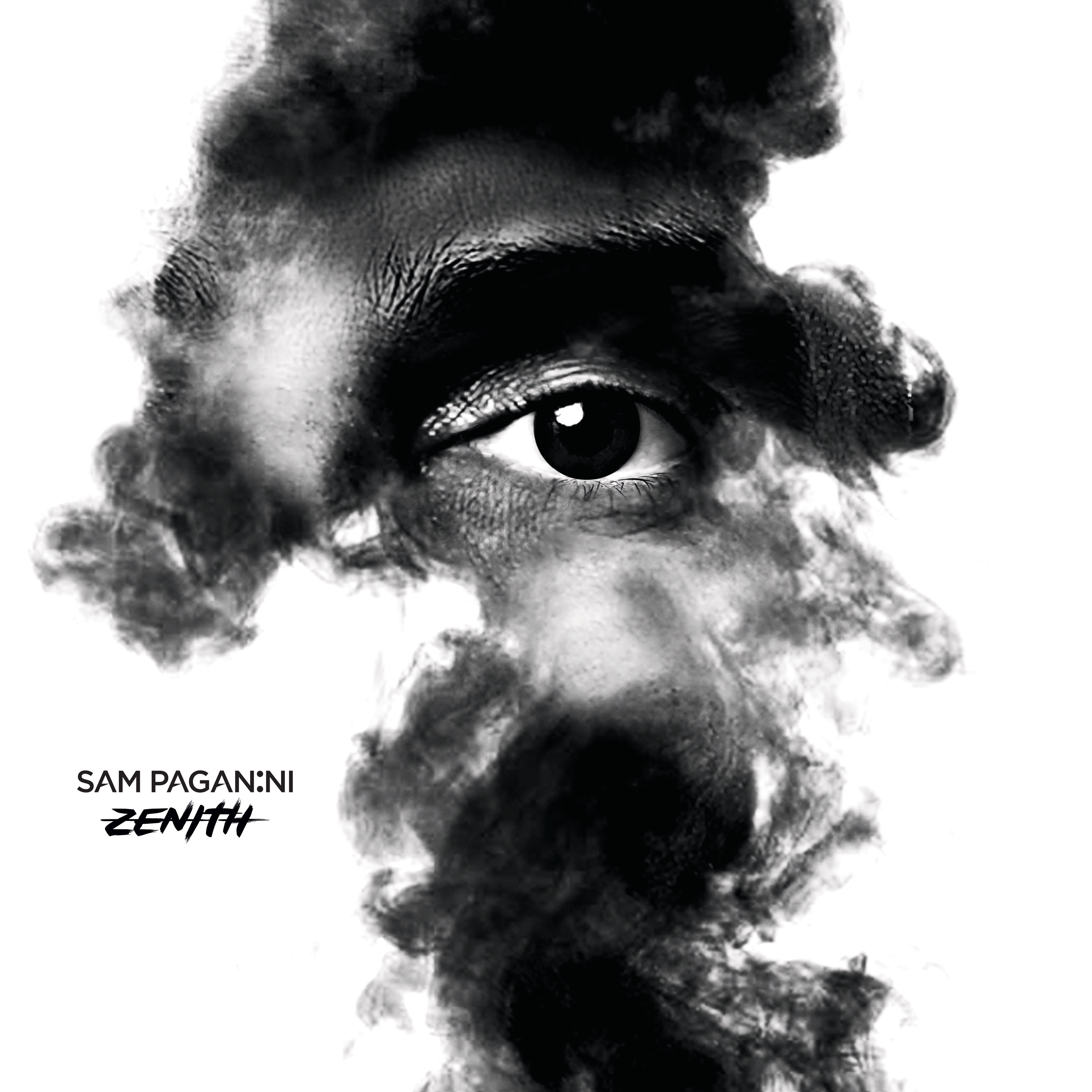 Zenith album cover