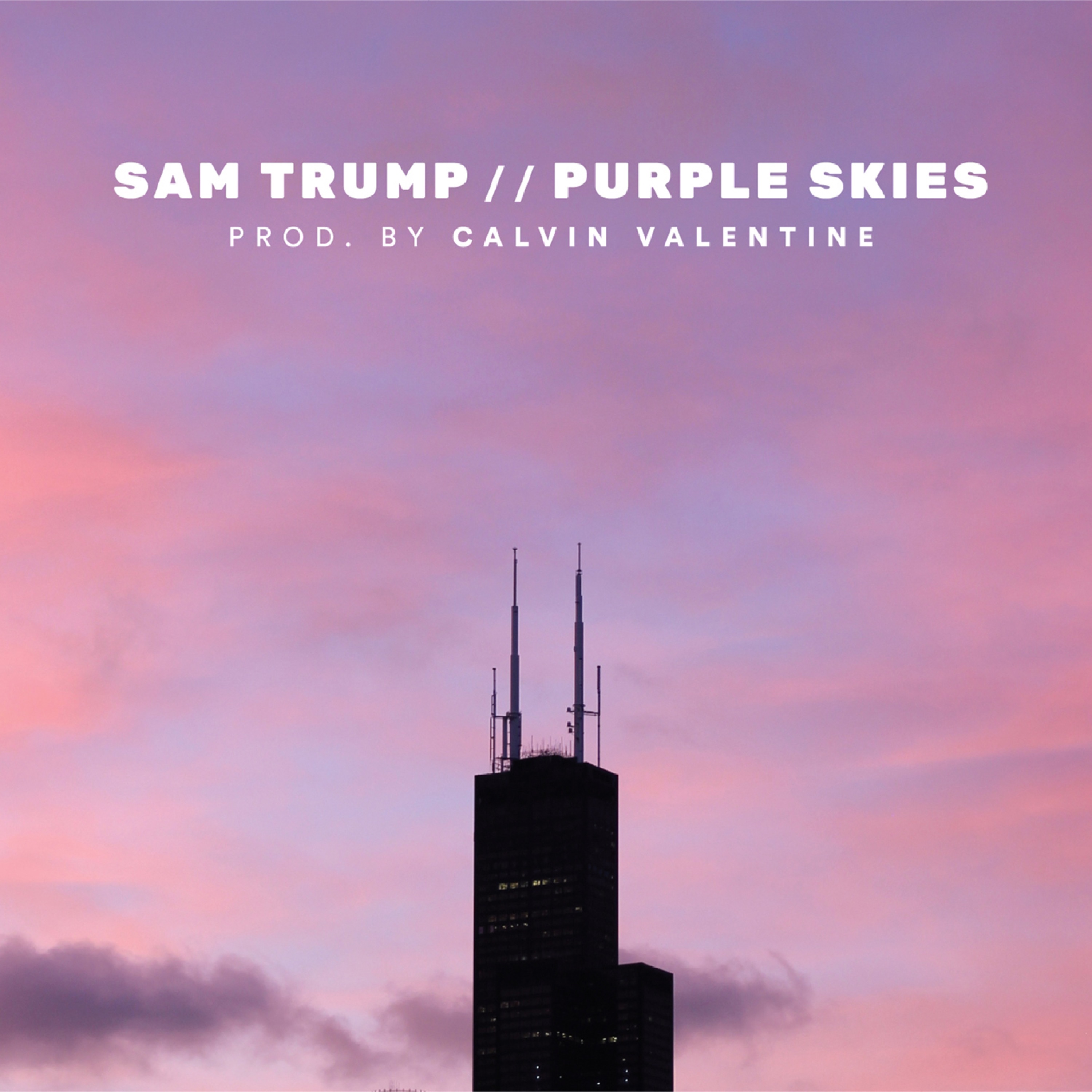 Purple Skies album cover