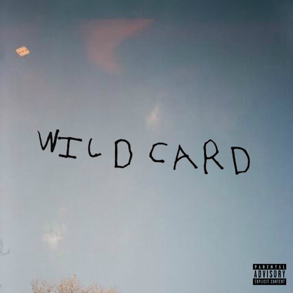 Wild Card album cover