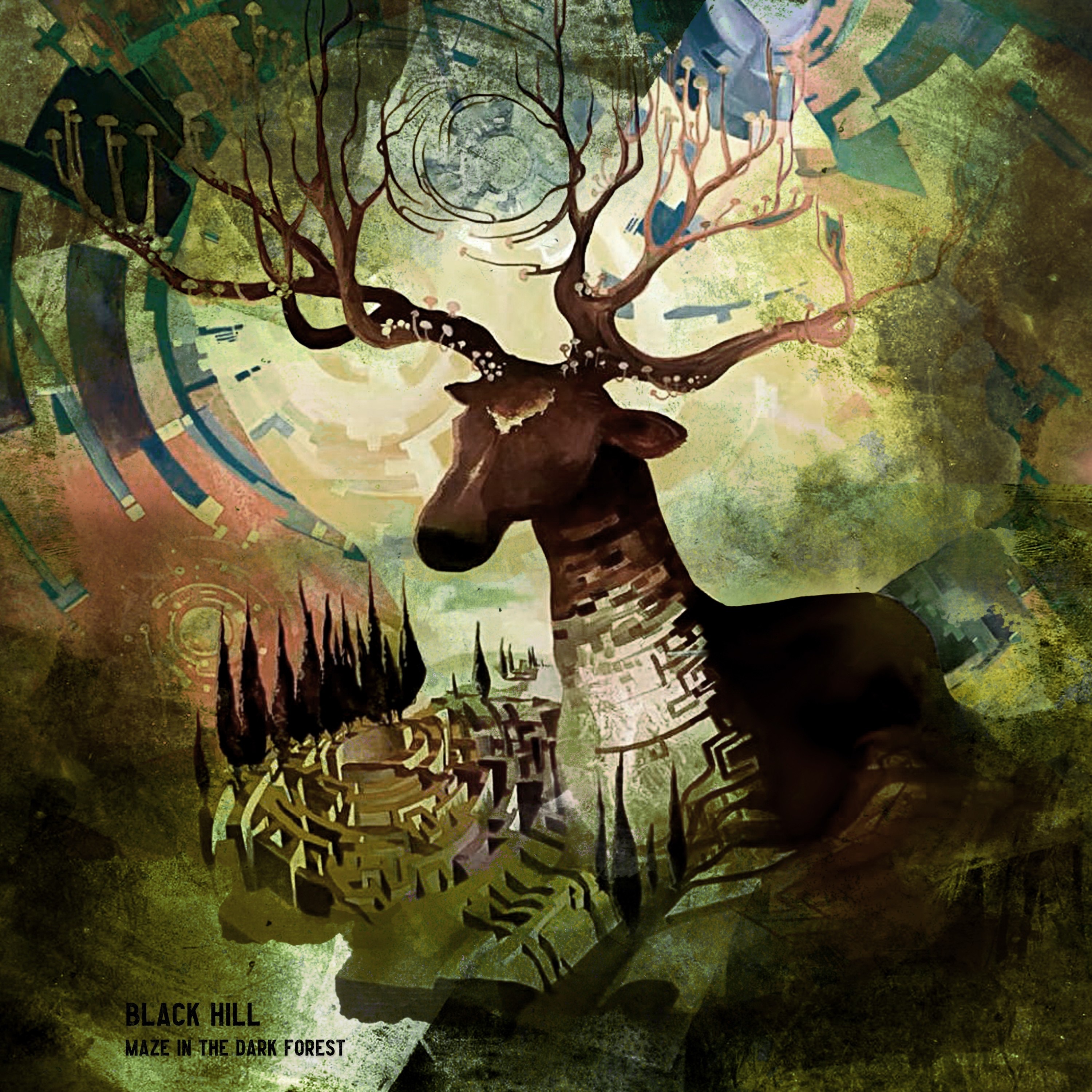 Maze In the Dark Forest album cover