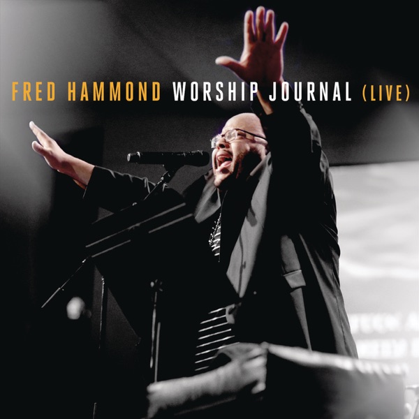 Worship Journal (Live) album cover