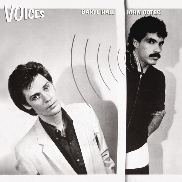 Voices album cover