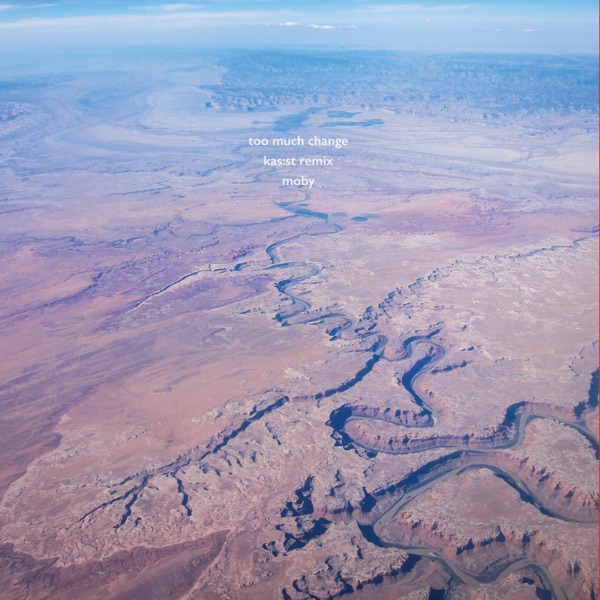 Too Much Change  (Kas:st Remix) - Single album cover