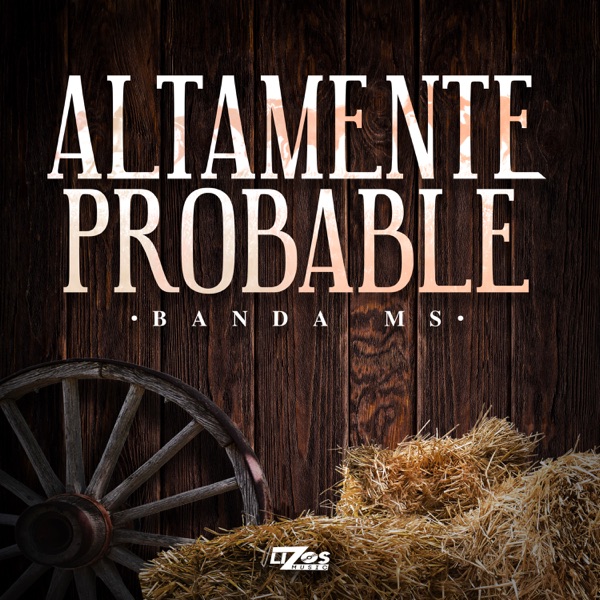 Altamente Probable - Single album cover