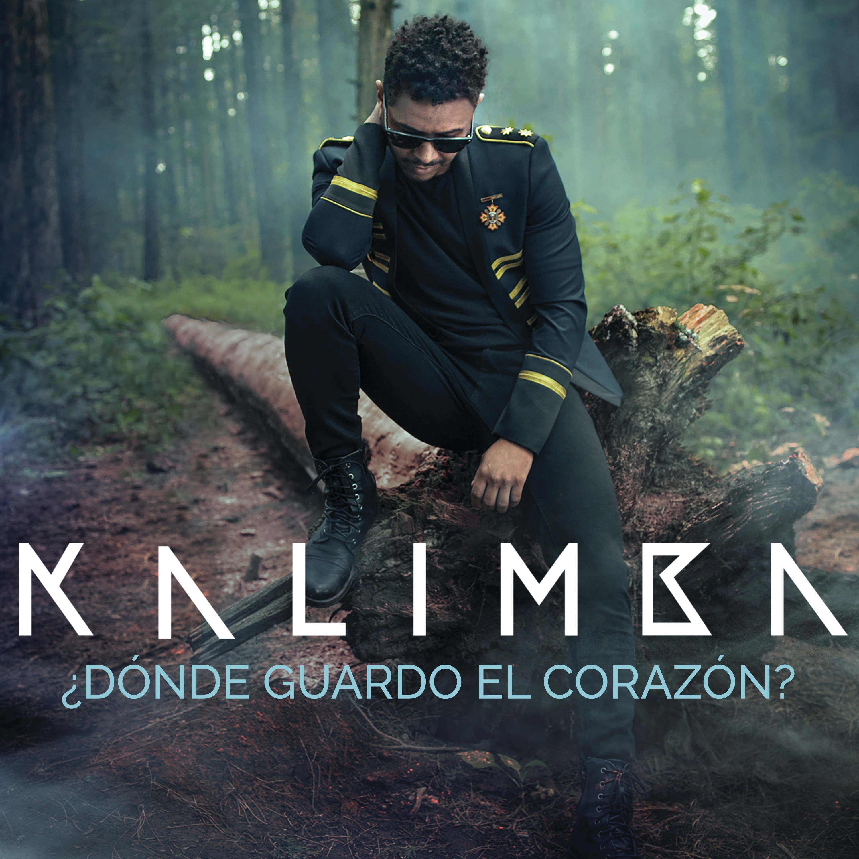 ¿Dónde Guardo el Corazón? - Single album cover