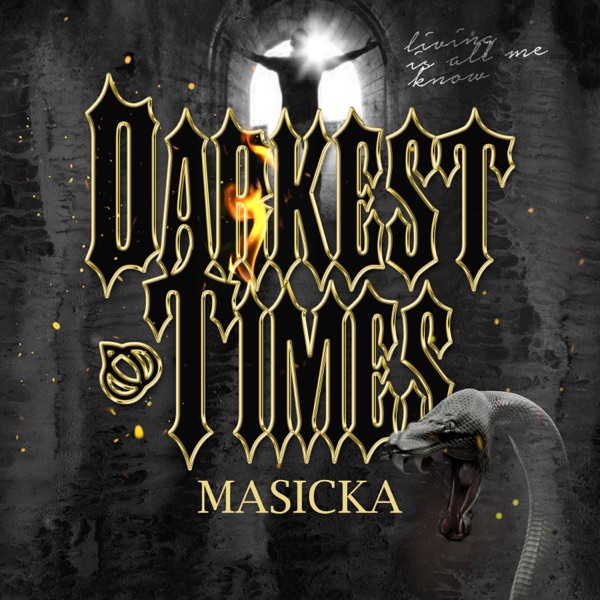 Darkest Times - Single album cover