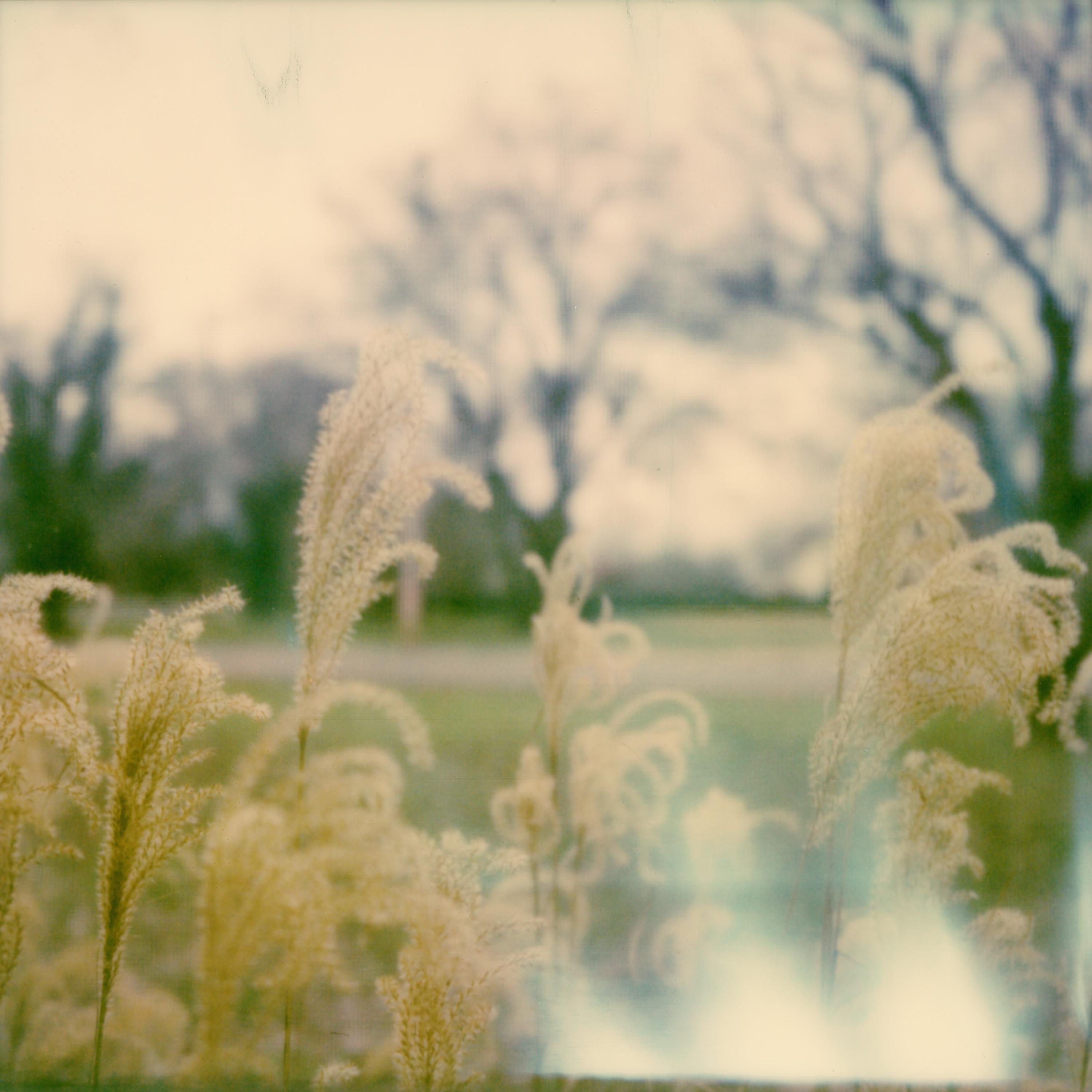 Murmuring - Single album cover