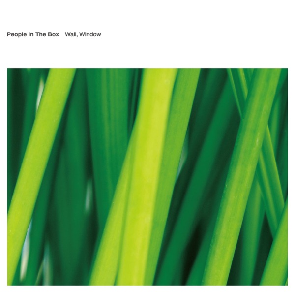 Wall, Window album cover