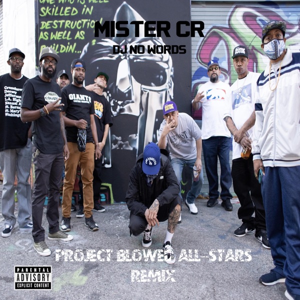 Project Blowed All Stars (feat. Ellay Khule, Gel Roc, Raskass, Subtitle, Wreccless, Nga Fsh, Riddlor album cover