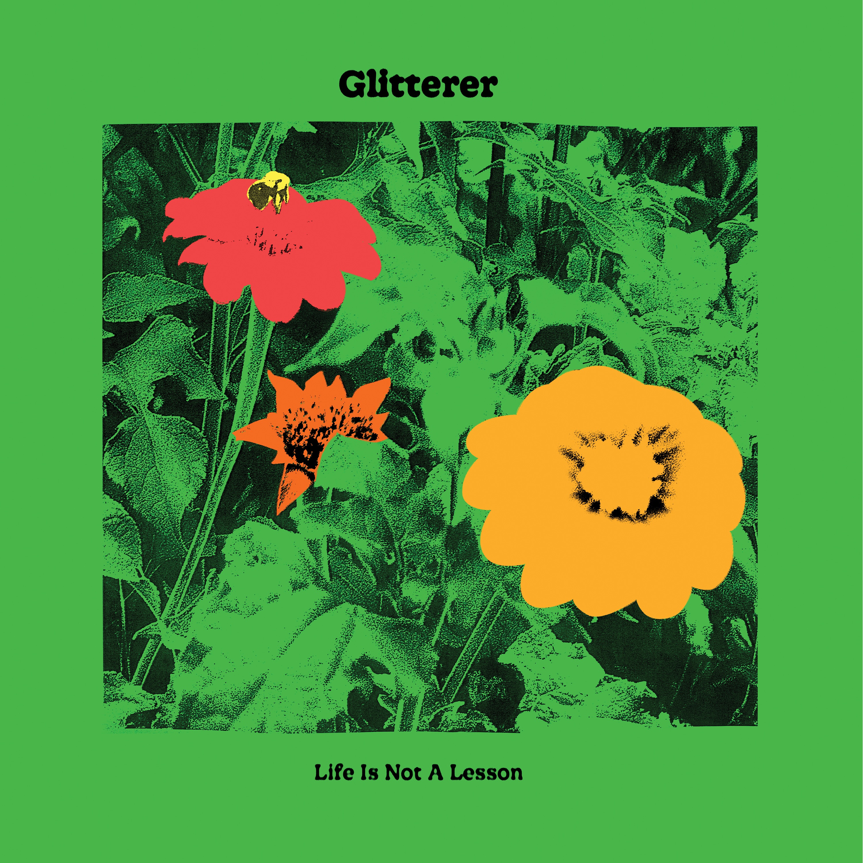 Life Is Not a Lesson album cover