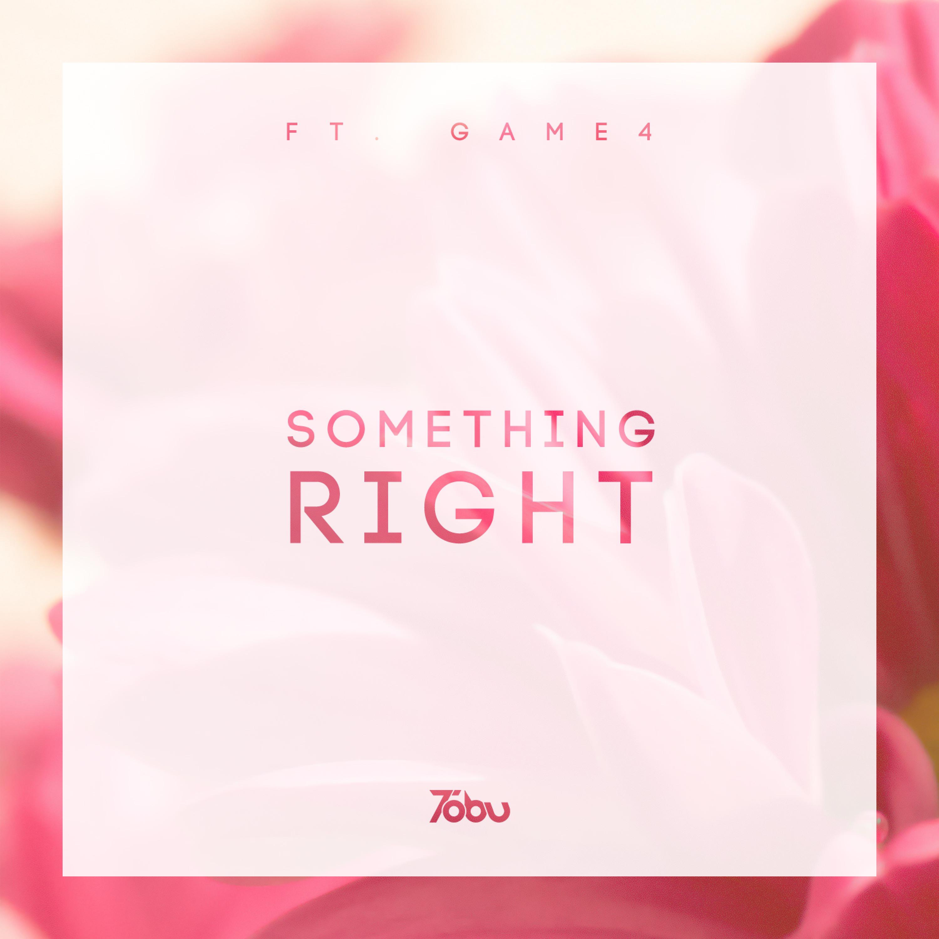 Something Right - Single album cover