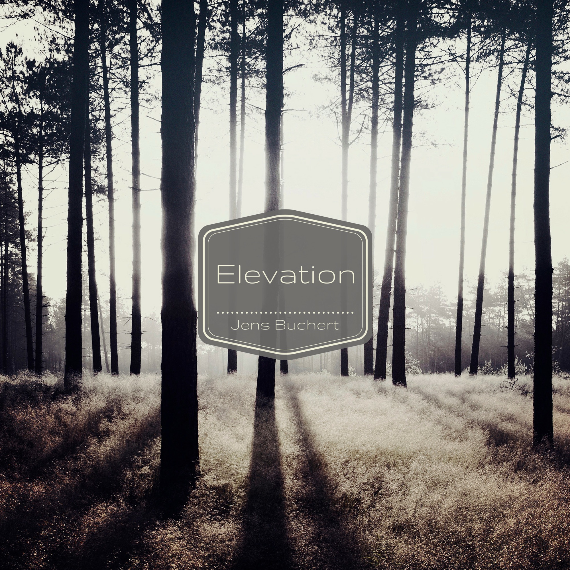 Elevation album cover